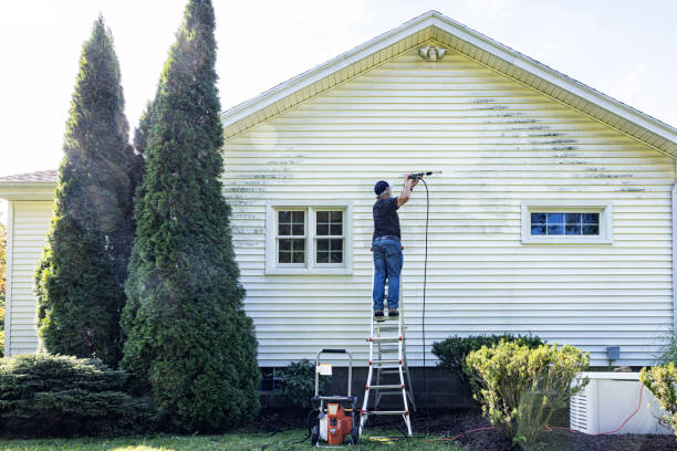 Trusted South Alamo, TX Pressure Washing Services Experts